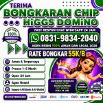 thumbnail-khusus-terima-bongkar-chip-domino-island-higgs-buka-24jam-wa0831-9834-2040-0