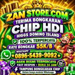 thumbnail-agen-terima-bongkar-chip-higgs-domino-island-fast-respon-wa-0896-5439-9092-0