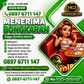 Terima bongkar chip Higgs domino island aman dan terpercaya admin 0897 6711 147