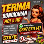 thumbnail-terima-bongkar-chip-higgs-domino-island-aman-dan-terpercaya-admin-0897-6711-147-0