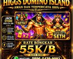 thumbnail-terima-bongkar-chip-higgs-domino-island-aman-dan-terpercaya-wa-0896-5439-9092-0