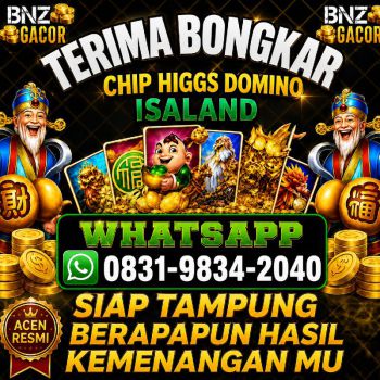 TERIMA BONGKAR CHIP HDI HIGGS DOMINO ISLAND JUAL BELI CHIP HDI WA 083198342040