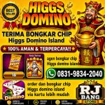 thumbnail-terima-bongkar-chip-hdi-higgs-domino-island-jual-beli-chip-hdi-wa-083198342040-0