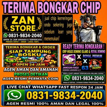 TERIMA BONGKAR CHIP HDI HIGGS DOMINO ISLAND JUAL BELI CHIP HDI WA 083198342040