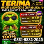 thumbnail-terima-bongkar-chip-hdi-higgs-domino-island-dan-royal-dream-wa-0831-9834-2040-0