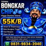 thumbnail-khusus-terima-bongkar-chip-domino-island-higgs-buka-24jam-wa0831-9834-2040-0