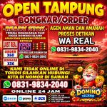 thumbnail-terima-bongkar-chip-hdi-higgs-domino-island-dan-royal-dream-wa-0831-9834-2040-0