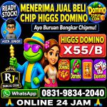 thumbnail-terima-bongkar-chip-hdi-higgs-domino-island-dan-royal-dream-wa-0831-9834-2040-0