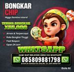 thumbnail-agen-resmi-jual-beli-coin-higgs-domino-hgi-dan-royal-dream-0