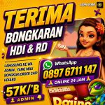 thumbnail-khusus-terima-bongkaran-chip-higgs-domino-amanah-proses-detikan-0
