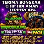 thumbnail-khusus-terima-bongkaran-chip-higgs-domino-island-amanah-dan-terpercaya-agen-0