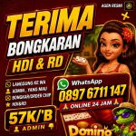 thumbnail-terima-bongkaran-chip-higgs-domino-island-terpercaya-amanah-0