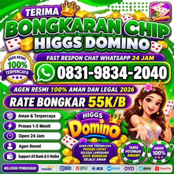 TERIMA BONGKAR CHIP HDI HIGGS DOMINO ISLAND JUAL BELI CHIP HDI WA 083198342040