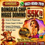 thumbnail-khusus-terima-bongkar-chip-domino-island-higgs-buka-24jam-wa0831-8500-7919-0