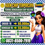 thumbnail-terima-bongkar-chip-hdi-higgs-domino-island-jual-beli-chip-hdi-wa-083185007919-0
