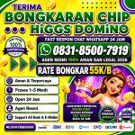 thumbnail-terima-bongkaran-chip-higgs-domino-island-amanah-dan-terpercaya-wa-083185007919-0