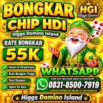 thumbnail-terima-bongkaran-chip-higgs-domino-island-amanah-dan-terpercaya-wa-083185007919-0