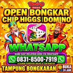 thumbnail-khusus-terima-bongkar-chip-domino-island-higgs-buka-24jam-wa0831-8500-7919-0