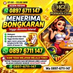 thumbnail-agen-terima-bongkaran-chip-higgs-domino-island-amanah-dan-terpercaya-0