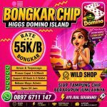 thumbnail-terima-bongkar-chip-higgs-domino-island-aman-dan-terpercaya-admin-open-24jam-0