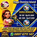thumbnail-terima-bongkar-chip-higgs-domino-island-aman-dan-terpercaya-0