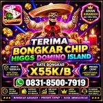 thumbnail-terima-bongkar-chip-hdi-higgs-domino-island-dan-royal-dream-wa-0831-8500-7919-0