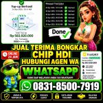 thumbnail-khusus-terima-bongkar-chip-domino-island-higgs-buka-24jam-wa0831-8500-7919-0