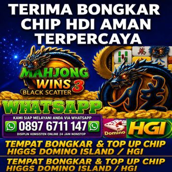 Ready stok bongkaran chip higgs domino island amanah dan tepercaya
