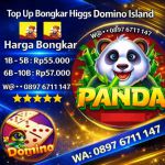 thumbnail-terima-bongkar-chip-higgs-domino-island-aman-dan-terpercaya-admin-open-bongkaran-0