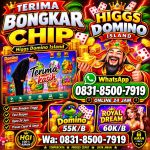 thumbnail-terima-bongkar-chip-hdi-higgs-domino-island-dan-royal-dream-wa-0831-8500-7919-0