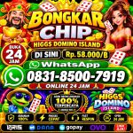thumbnail-terima-bongkar-chip-hdi-higgs-domino-island-jual-beli-chip-hdi-wa-083185007919-0