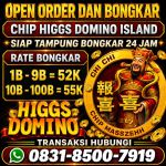 thumbnail-terima-bongkar-chip-hdi-higgs-domino-island-dan-royal-dream-wa-0831-8500-7919-0