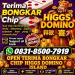 thumbnail-khusus-terima-bongkar-chip-domino-island-higgs-buka-24jam-wa0831-8500-7919-0