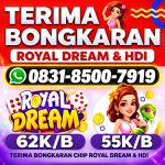 thumbnail-terima-bongkar-chip-hdi-higgs-domino-island-dan-royal-dream-wa-0831-8500-7919-0