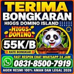 thumbnail-khusus-terima-bongkar-chip-domino-island-higgs-buka-24jam-wa0831-8500-7919-0