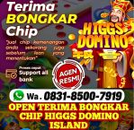 thumbnail-terima-bongkar-chip-hdi-higgs-domino-island-jual-beli-chip-hdi-wa-083185007919-0