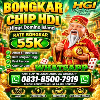 TERIMA BONGKAR CHIP HDI HIGGS DOMINO ISLAND DAN ROYAL DREAM WA 0831-8500-7919