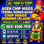 thumbnail-khusus-terima-bongkar-chip-domino-island-higgs-buka-24jam-wa0831-8500-7919-0