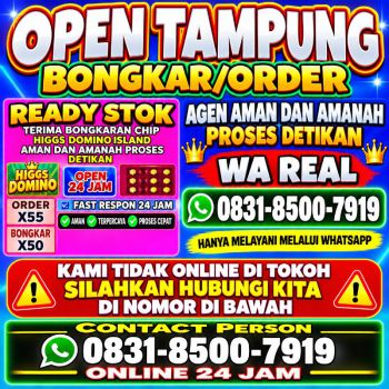 TERIMA BONGKAR CHIP HDI HIGGS DOMINO ISLAND JUAL BELI CHIP HDI WA 083185007919