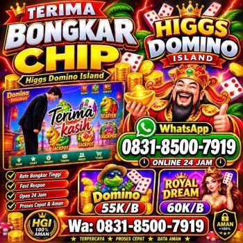 TERIMA BONGKAR CHIP HDI HIGGS DOMINO ISLAND DAN ROYAL DREAM WA 0831-8500-7919