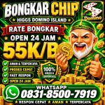 thumbnail-terima-bongkar-chip-hdi-higgs-domino-island-jual-beli-chip-hdi-wa-083185007919-0