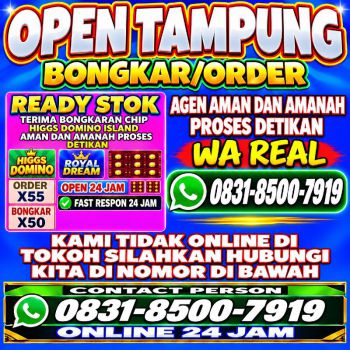 KHUSUS TERIMA BONGKAR CHIP DOMINO ISLAND HIGGS 🔥 BUKA 24JAM WA:0831-8500-7919