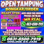 thumbnail-khusus-terima-bongkar-chip-domino-island-higgs-buka-24jam-wa0831-8500-7919-0