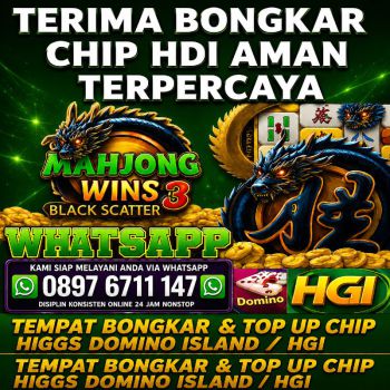 Terima bongkar chip Higgs domino island aman dan terpercaya