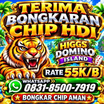 TERIMA BONGKAR CHIP HDI HIGGS DOMINO ISLAND JUAL BELI CHIP HDI WA 083185007919