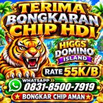 thumbnail-terima-bongkar-chip-hdi-higgs-domino-island-jual-beli-chip-hdi-wa-083185007919-0