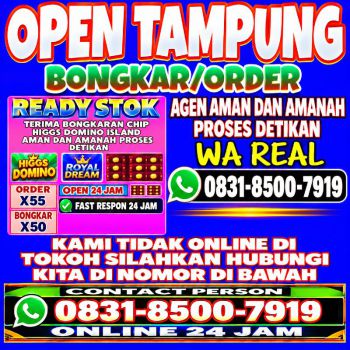 TERIMA BONGKAR CHIP HDI HIGGS DOMINO ISLAND DAN ROYAL DREAM WA 0831-8500-7919