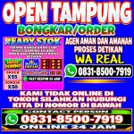 thumbnail-terima-bongkar-chip-hdi-higgs-domino-island-dan-royal-dream-wa-0831-8500-7919-0