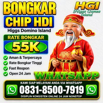 TERIMA BONGKAR CHIP HDI HIGGS DOMINO ISLAND JUAL BELI CHIP HDI WA 083185007919