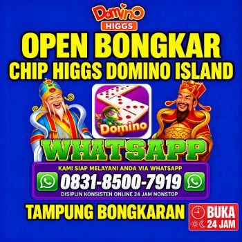 Terima Bongkaran Chip Higgs domino Island Amanah dan Terpercaya Wa 083185007919